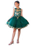Girls Hunter Green Satin Glitter Tulle Gold Lace Party Dress 2-16 - SophiasStyle.com model 1